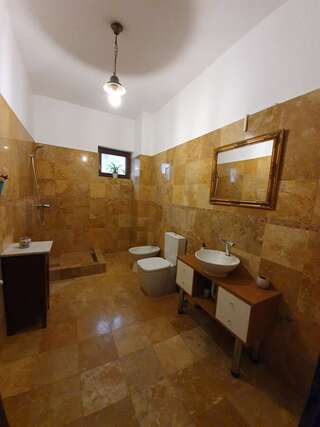 Гостевой дом Vila De la Lugas Орадя Двухместный номер с 1 кроватью и собственной ванной комнатой вне номера-6