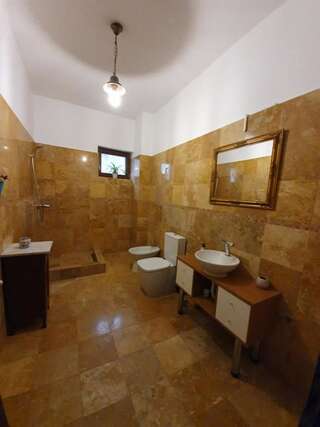 Гостевой дом Vila De la Lugas Орадя Двухместный номер с 1 кроватью и собственной ванной комнатой вне номера-14